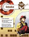 Health test for smoke